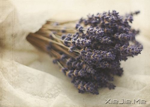 晚安心语:当你学会珍惜自己,世界才会珍惜你 (3)