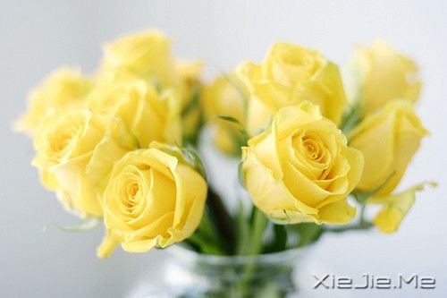 晚安心语:最懂你的人,才是最温暖的伴 (1)