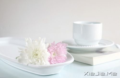 晚安心语:最懂你的人,才是最温暖的伴 (4)