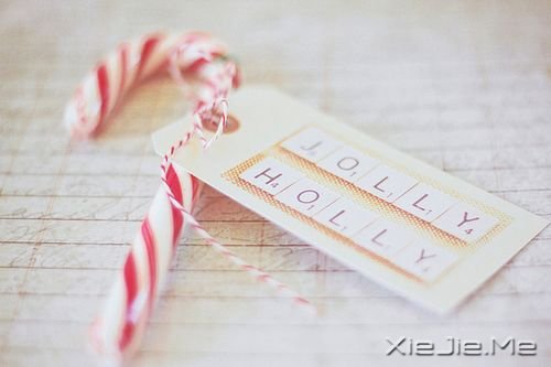 晚安心语:那些单独飞翔的人拥有最强大的翅膀 (8)