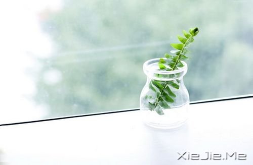 �簲���û�����ܸ���������������Լ� (10)