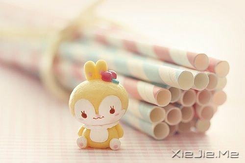 走在一起是缘分,一起在走是幸福 (10) 走在一起是缘分,一起在走是幸福 (10)