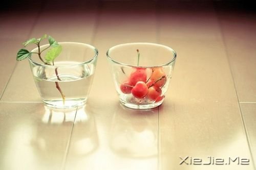 华丽的跌倒,胜过无谓的徘徊 (2) 唯美图片 (2)