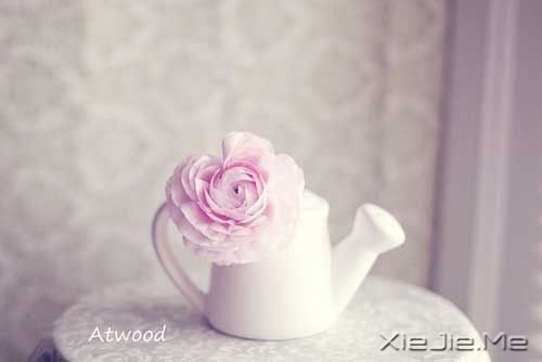 华丽的跌倒,胜过无谓的徘徊 (8) 唯美图片 (8)