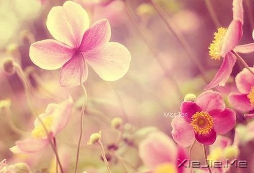 ����һЩ�£�����һЩ�� (5)