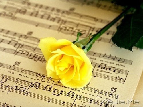 �簲�����ƽ�͵���̬�����������һ�� (8)