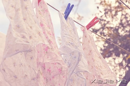 晚安心语:人总有那么一段时间要学会自己长大 (4)