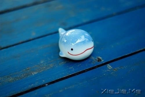 自己选择的路,就算跪着也要走完