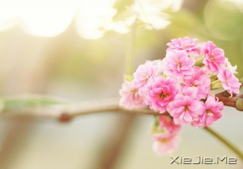 �򵥵�ϲ�����Զ��������ˣ�����ů