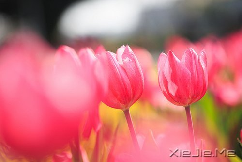 如何增加自己的人脉