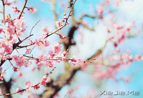 常常观自心,便会更智慧 (6)