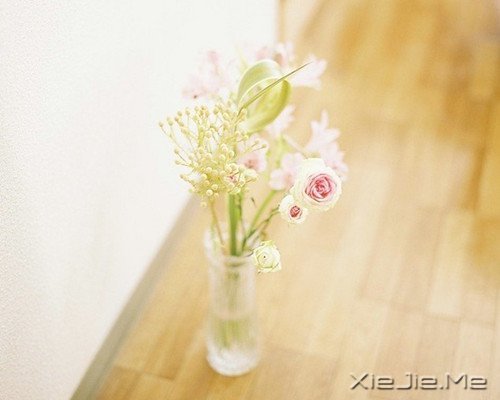 高三,不相信传说