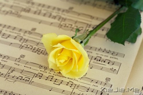 ���֣����������������������˰�