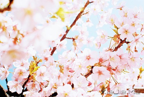 ������¼��50�������ľ��� (2)