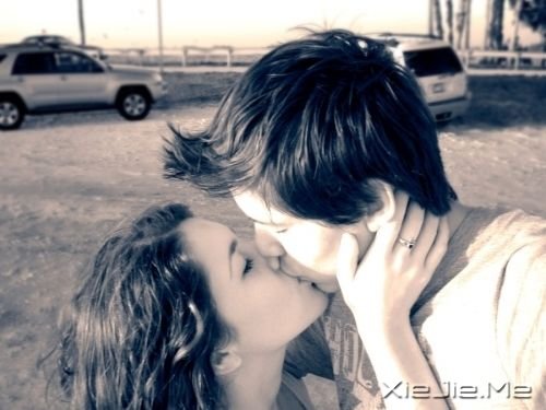 �������ף��������ף���������ϧ (7)