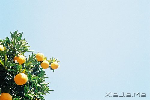 �Լ�ϲ�������ӣ��������������� (3)