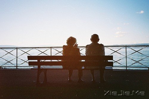 ���ĳ����ż���������ĳ����ż������ (9)