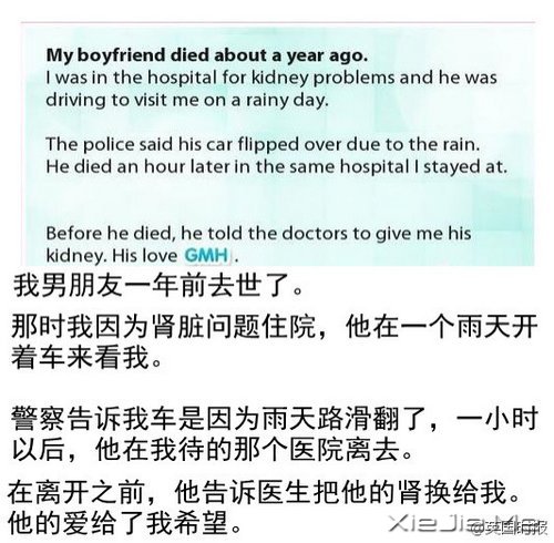 给我希望,15个温暖的小故事 (3)