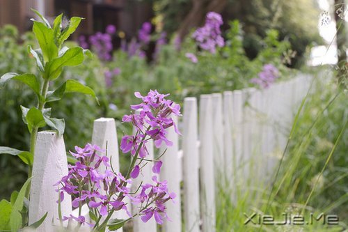 ������¼��ֻҪ�ʺ��Լ��������Ҹ� (11)