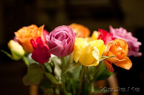 经典语录:输什么也不能输了心情 (5)