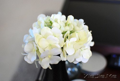 经典语录:输什么也不能输了心情 (12)