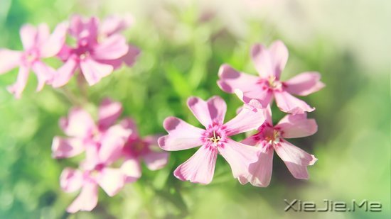 ���֣�Ҫ������ʮ���� (8)