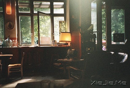 ���֣����������������� (6)