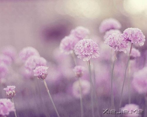 �żμѣ����ǿ����ڱ�