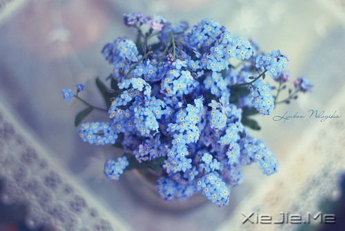 ��֮��Щ�˺��������Ҳû����