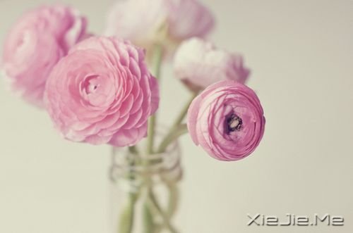 ����·�ϵ�50��������� (4)