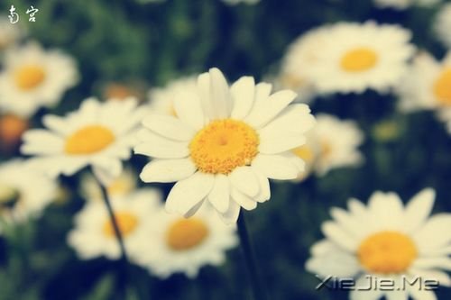 �ÿ��Ļ���ͼƬ (8)